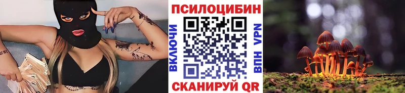 Галлюциногенные грибы MAGIC MUSHROOMS  наркотики  Борзя 